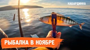 Рыбалка с лодки в ноябре. Что ловится в море.  Морская рыбалка удалась!