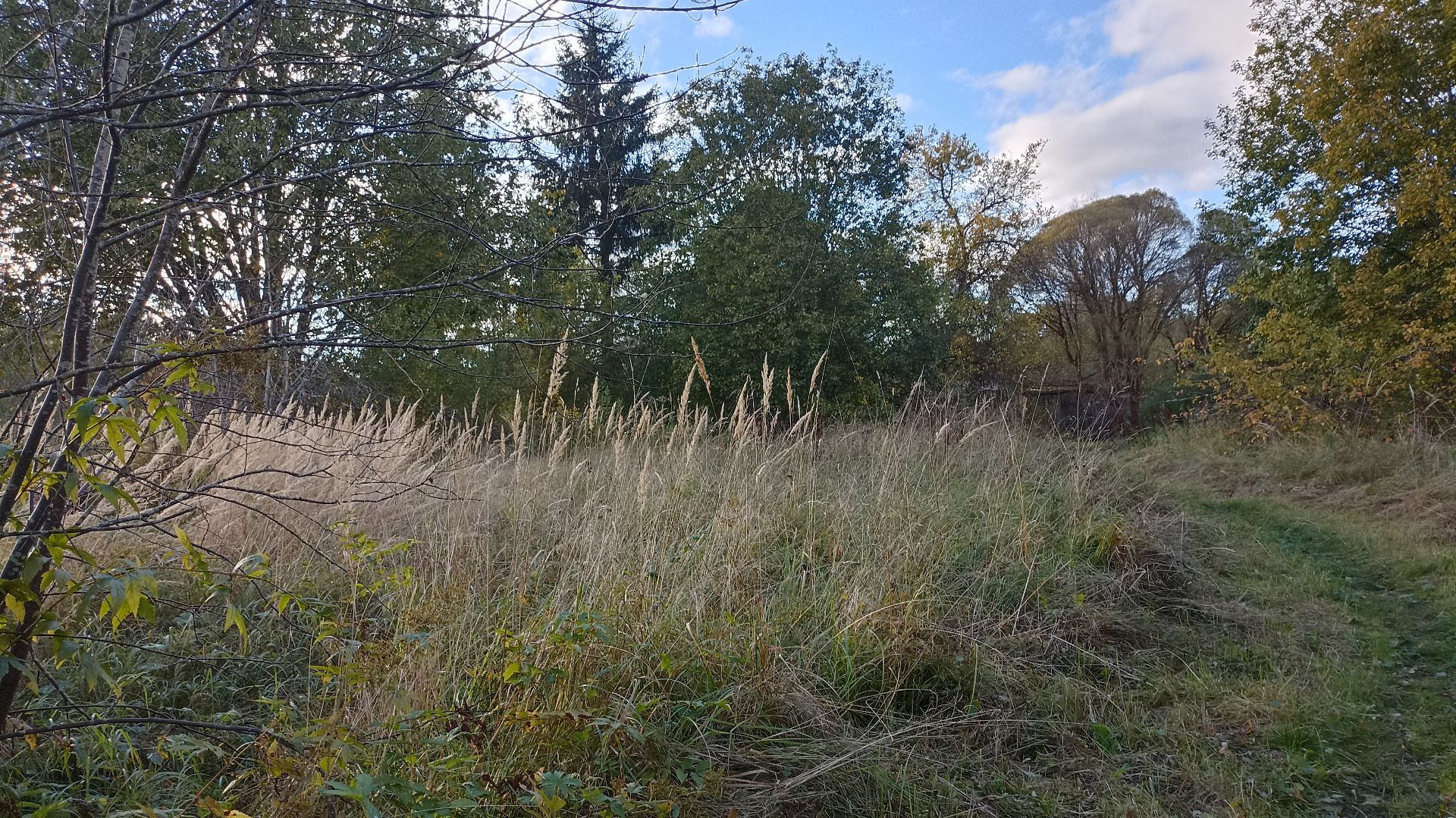 Мстинский Мост