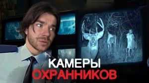 Что видят ОХРАННИКИ | Записи в ФОТОЛОВУШЕК в ЛЕСУ | Bolduriev Stories