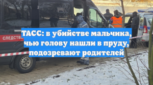 ТАСС: в убийстве мальчика, чью голову нашли в пруду, подозревают родителей