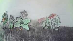 Похождение жука-носорога