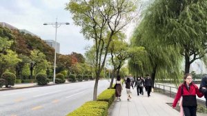 Осенний Токио 🍁 Императорский сад и волшебные виды возле станции