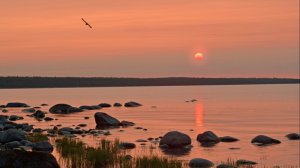 Я люблю тебя, мой край!