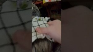 бусики и розочка