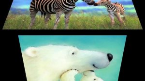 маме от Влада