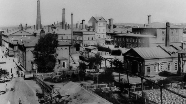 Здравствуйте 13/11/2025