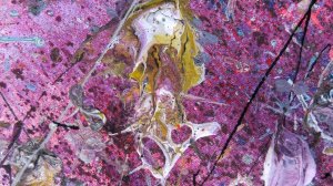 Понедельник