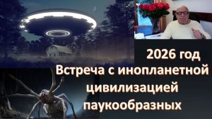 Инопланетяне рядом с нами. Паукообразные. Расы, виды, отличия. Чего ждать землянам?