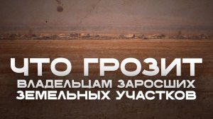 Скосил траву – спас край от огня и себя от штрафа