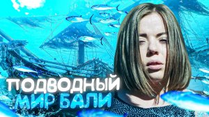 ПОДВОДНЫЙ МИР БАЛИ