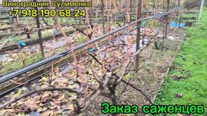 Скоро конец сезона 2025г.