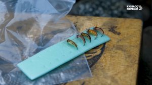 Сибирский лов. Выпуск 91