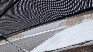 охота осень гусь 2025