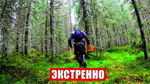 Грибник зашел в ЛЕС в НОЯБРЕ и ОБАЛДЕЛ! Нашел ПОЛЯНЫ грибов ТАКОГО НЕ ОЖИДАЛ! Грибы 2025