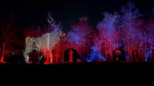 Проекция на деревья 🌳