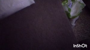 Я в городе вожусь с внуками