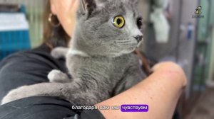 Регулярные платежи