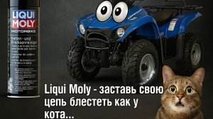 Чистка цепи квадроцикла по-старинке...но с добавлением новых технологий