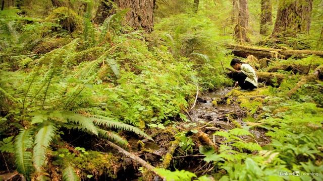 31 - The importance of research смотреть онлайн