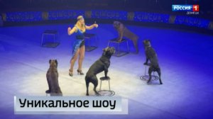 В донецком цирке с успехом проходит новая программа