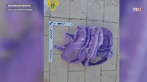 Раскрыты подробности убийства шестилетнего мальчика в подмосковной Балашихес