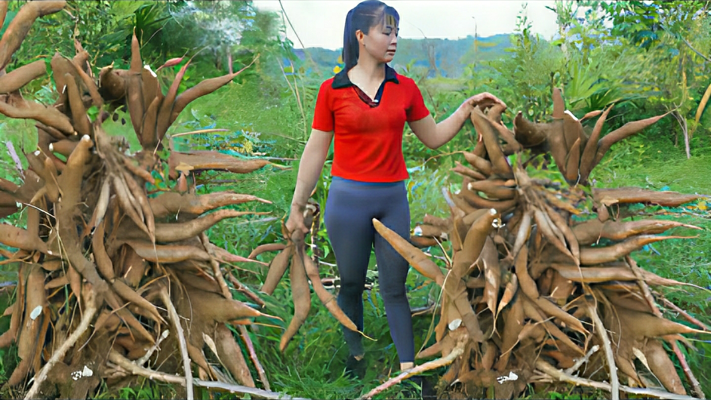 Собираю урожай маниоки и везу на продажу на сельский рынок. Жизнь во Вьетнаме