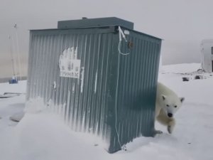 Идентификация Норда