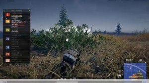 Полевой грызунчик