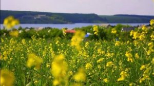 На дальней станции сойду...