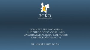 Заседание комитета по экологии 18.11.2025