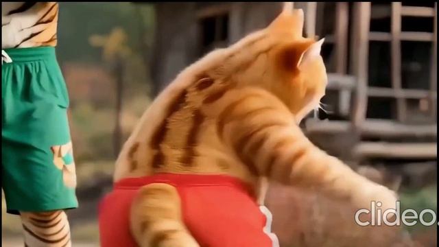 Рыжий кот-бегемот