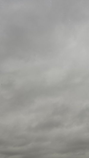 Шлоу воу пытается разобраться как играть...