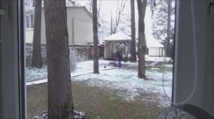 Букет лаванды. В зал, за Анюткой. Покупки для Лесной. Как украсить домик. 17.11.2025