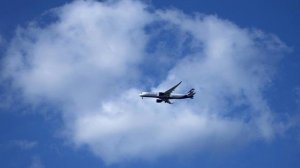 В Пулково объявили тревогу из-за задымления в самолете авиакомпании «Россия»