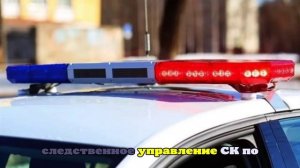 Бабушка убитого в Балашихе мальчика заявила, что его увёл сожитель матери