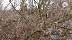 Слив канализации с КНС2 прекратился, вода в речке начинает светлеть. Спасибо всем кто участвовал 🤝