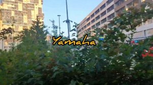 JBL Eon One Compact and Yamaha Stagepas 200 - Sound comparison at a distance of up to 100 meters.