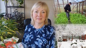 Первый снег и Первые посевы.Семена томатов- выбираю урожайные.Дачные дела