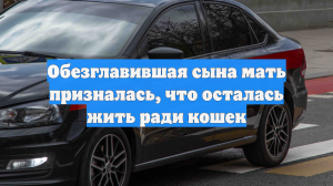 pre_Long_3271794647_combine_video