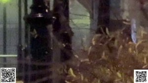 Прогулка по Москве