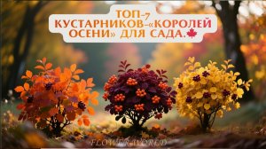 ТОП-7 кустарников-«королей осени» для сада.🍁