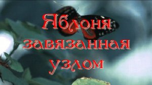 Яблоня завязанная узлом, Бонсай