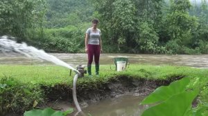 Девушка спускает пруд и ловит много рыбы. Лучший способ ловить рыбу