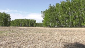 Ну-у-у!Очень красиво поёт.🐦