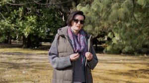 ПУТЬ ГЕРОЯ. ПРОЦВЕТАНИЕ