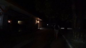 покидаем пипидон