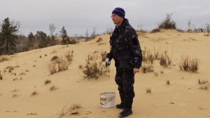 ШОК! Гигантские маслята и рядовка, в НОЯБРЕ!😱