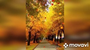 Благословеной недели(музыкальная открытка)