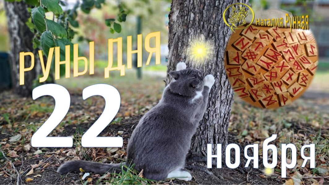 РУНА ДНЯ\прогноз на сегодня, 22 ноября 2025г от Наталии Рунной