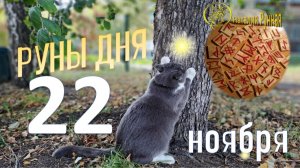 РУНА ДНЯ\прогноз на сегодня, 22 ноября 2025г от Наталии Рунной
